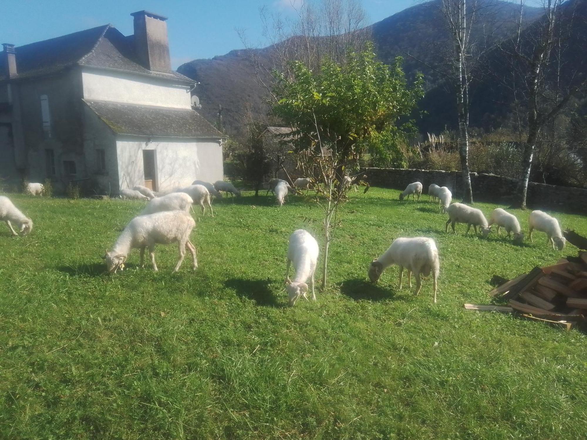 Gite Maison Chourrist Capbis Kültér fotó